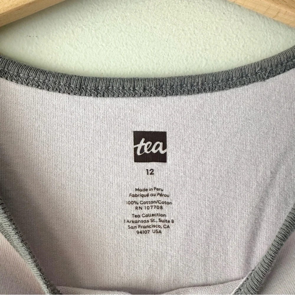 Tea Collection Bunny Rabbit Popsicle Raglan Shirt